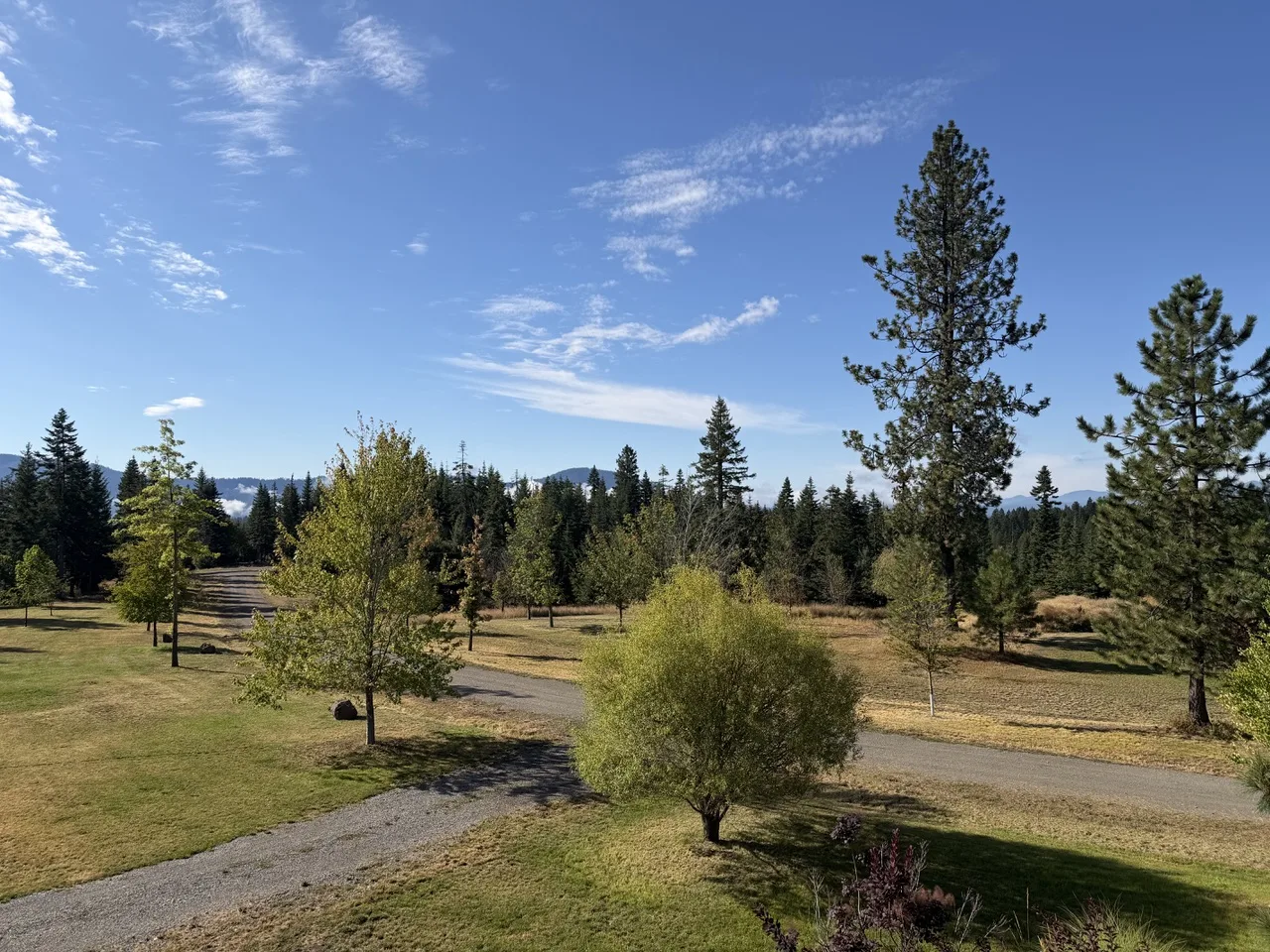 North Idaho landscape near Nathan’s home office